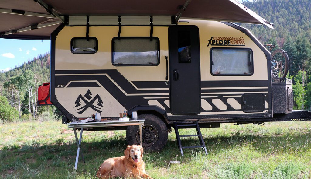 Golden retriever relaxing outside the X145 in the mountains.
