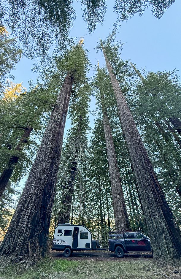 Imperial Outdoors S145 camping among the giant Redwood trees in California.