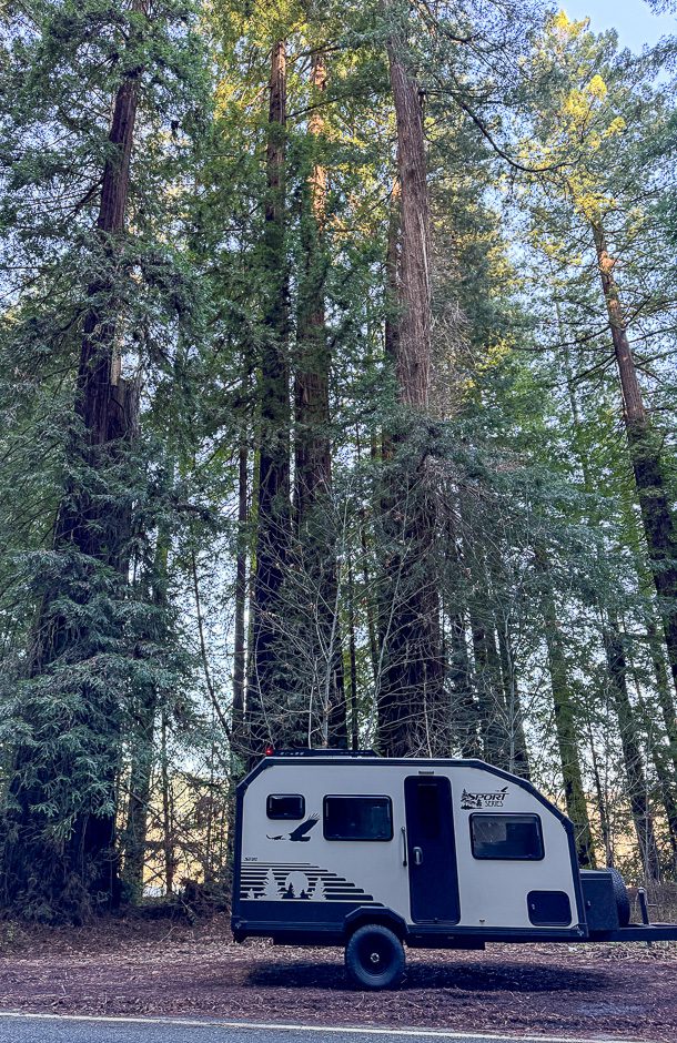 S145 parked next to a giant Redwood tree in California.