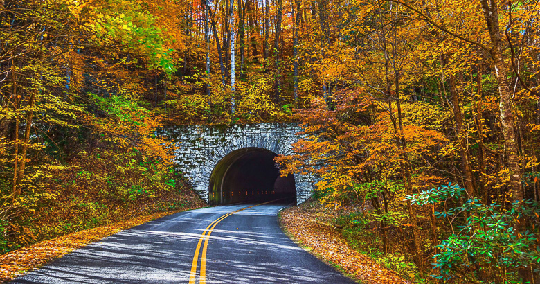 A curved road with yellow lines leads into a stone tunnel, surrounded by dense trees with vibrant autumn foliage in shades of orange, yellow, and red—an inviting scene that captures the beauty of shoulder season camping in one of the top fall camping destinations.